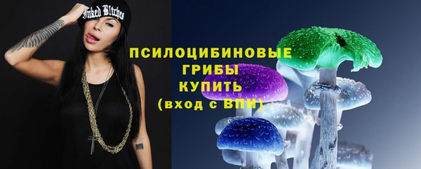 МДПВ Абинск