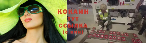 гашик Алзамай