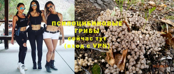 МДПВ Абинск