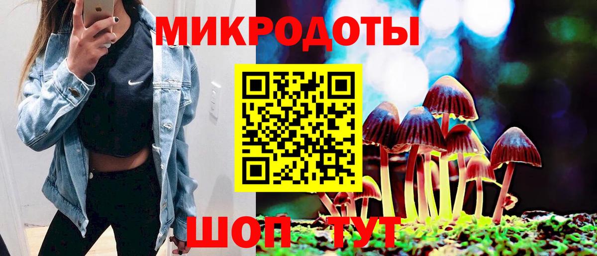 Кострома  Галлюциногенные грибы Cubensis  Галлюциногенные грибы Psilocybe  Вход с VPN 