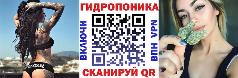 Бошки Шишки ГИДРОПОН Кострома